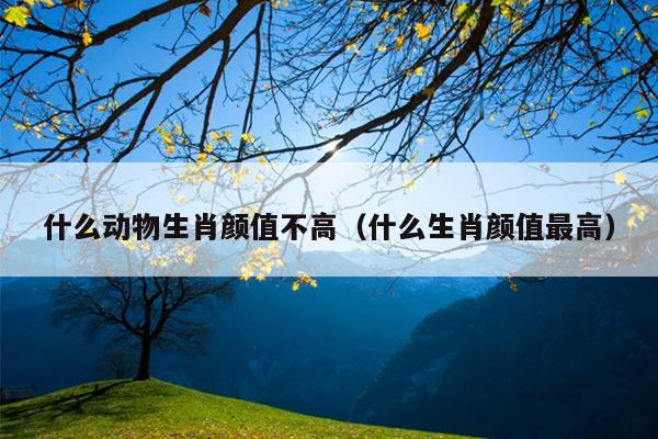 什么动物生肖颜值不高（什么生肖颜值最高）