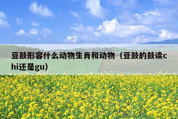 豆鼓形容什么动物生肖和动物（豆鼓的鼓读chi还是gu）