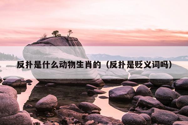 反扑是什么动物生肖的（反扑是贬义词吗）