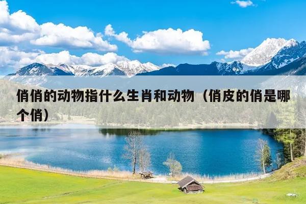 俏俏的动物指什么生肖和动物（俏皮的俏是哪个俏）