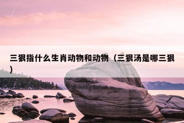 三狠指什么生肖动物和动物（三狠汤是哪三狠）