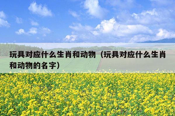 玩具对应什么生肖和动物（玩具对应什么生肖和动物的名字）