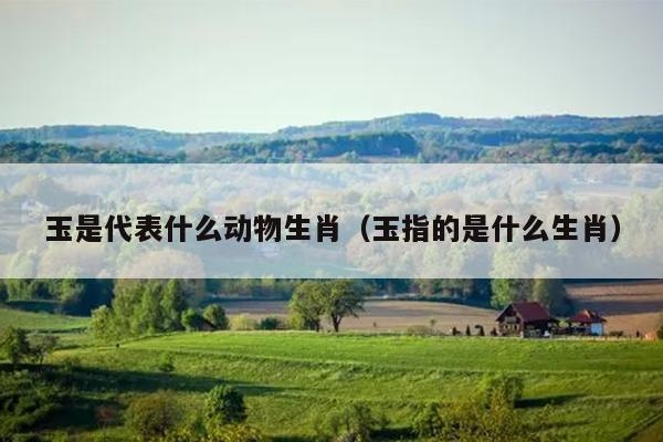 玉是代表什么动物生肖（玉指的是什么生肖）