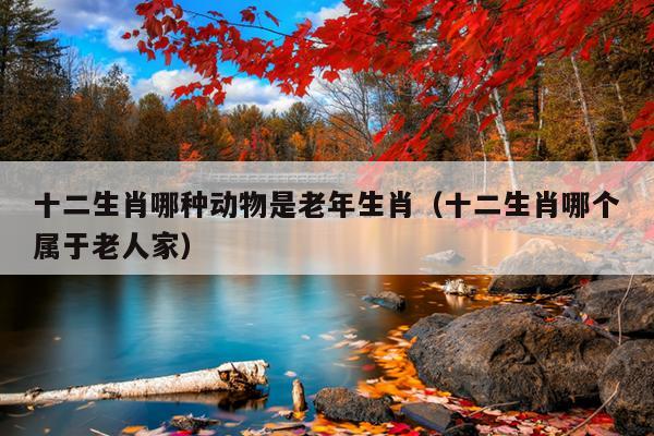十二生肖哪种动物是老年生肖（十二生肖哪个属于老人家）