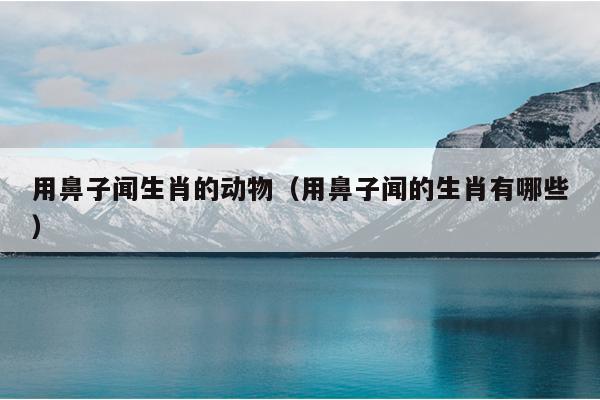用鼻子闻生肖的动物（用鼻子闻的生肖有哪些）