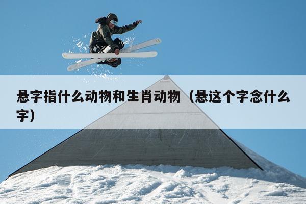 悬字指什么动物和生肖动物（悬这个字念什么字）