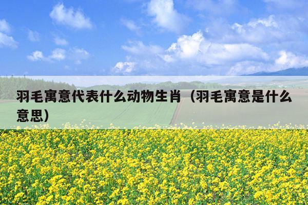 羽毛寓意代表什么动物生肖（羽毛寓意是什么意思）