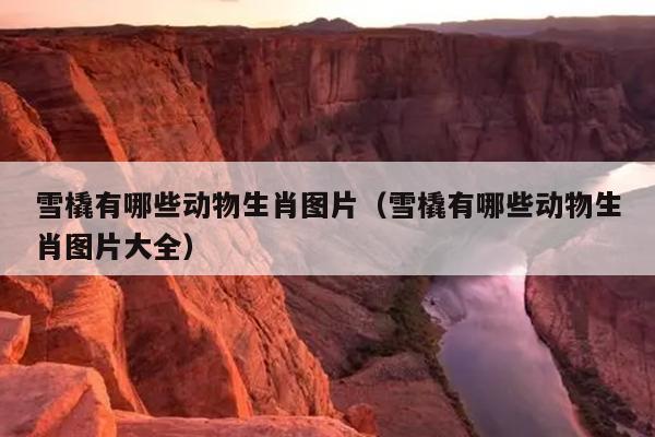 雪橇有哪些动物生肖图片（雪橇有哪些动物生肖图片大全）