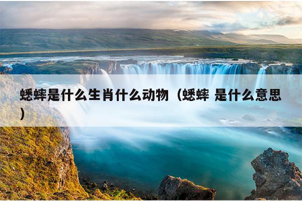 蟋蟀是什么生肖什么动物（蟋蟀 是什么意思）
