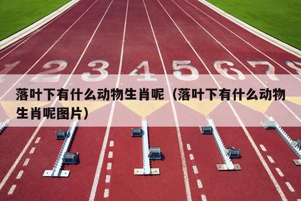 落叶下有什么动物生肖呢（落叶下有什么动物生肖呢图片）