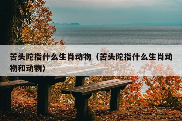 苦头陀指什么生肖动物（苦头陀指什么生肖动物和动物）