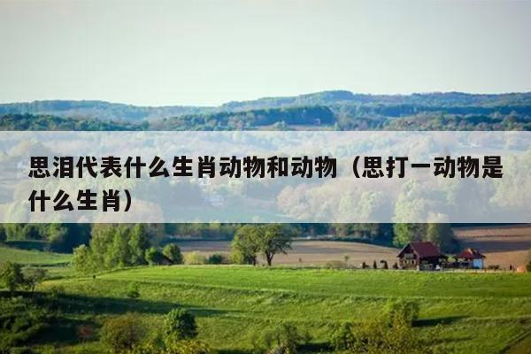思泪代表什么生肖动物和动物（思打一动物是什么生肖）