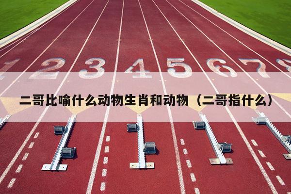 二哥比喻什么动物生肖和动物（二哥指什么）