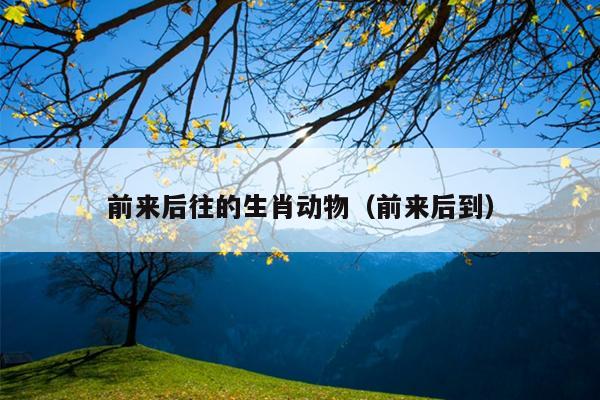 前来后往的生肖动物（前来后到）