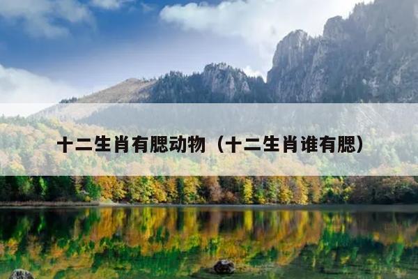 十二生肖有腮动物（十二生肖谁有腮）