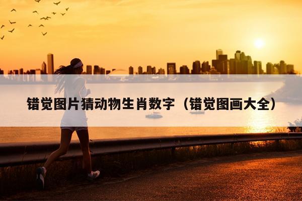 错觉图片猜动物生肖数字（错觉图画大全）