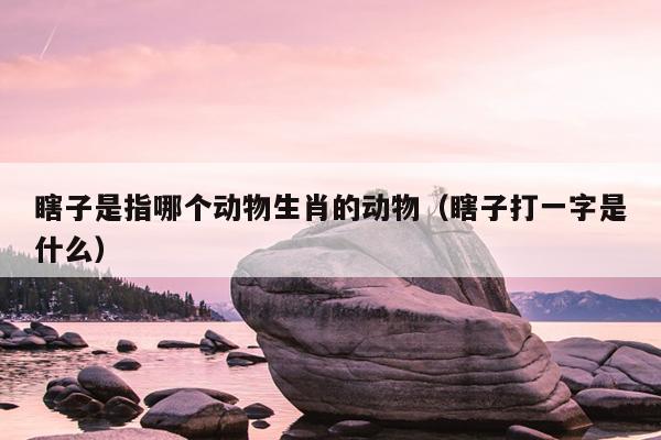瞎子是指哪个动物生肖的动物（瞎子打一字是什么）