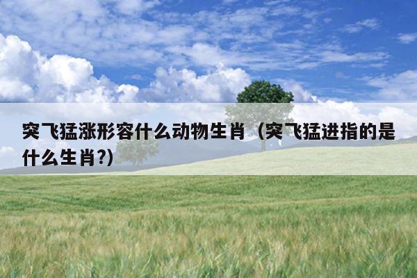 突飞猛涨形容什么动物生肖（突飞猛进指的是什么生肖?）