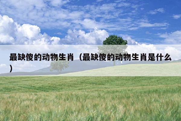 最缺傻的动物生肖（最缺傻的动物生肖是什么）