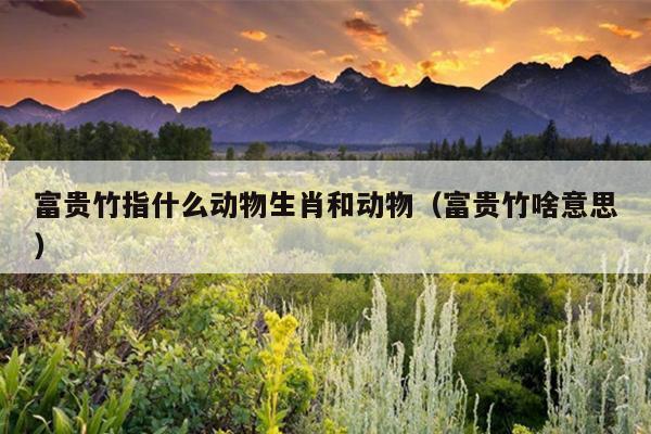 富贵竹指什么动物生肖和动物（富贵竹啥意思）