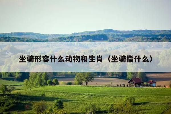 坐骑形容什么动物和生肖（坐骑指什么）
