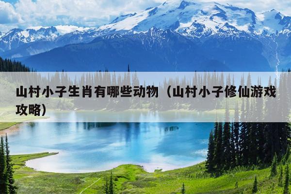 山村小子生肖有哪些动物（山村小子修仙游戏攻略）