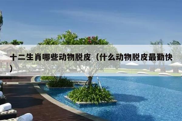 十二生肖哪些动物脱皮（什么动物脱皮最勤快）