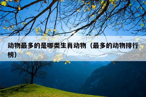 动物最多的是哪类生肖动物（最多的动物排行榜）
