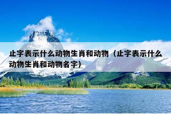 止字表示什么动物生肖和动物（止字表示什么动物生肖和动物名字）