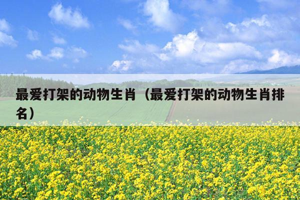 最爱打架的动物生肖（最爱打架的动物生肖排名）