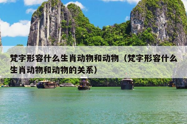 梵字形容什么生肖动物和动物（梵字形容什么生肖动物和动物的关系）