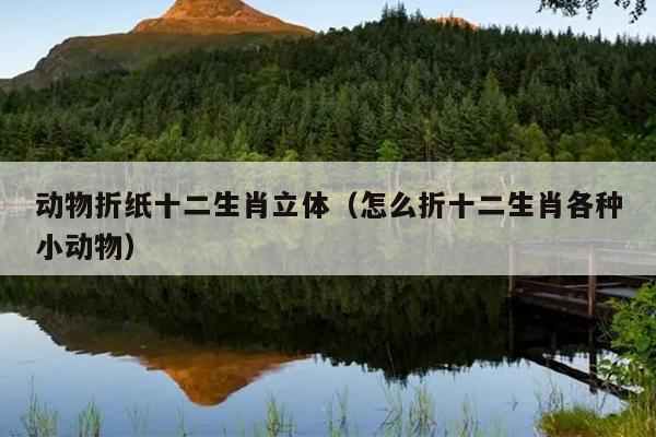 动物折纸十二生肖立体（怎么折十二生肖各种小动物）