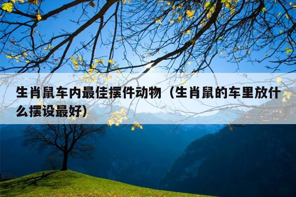 生肖鼠车内最佳摆件动物（生肖鼠的车里放什么摆设最好）