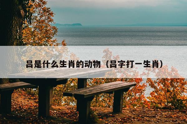 吕是什么生肖的动物（吕字打一生肖）