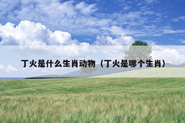 丁火是什么生肖动物（丁火是哪个生肖）