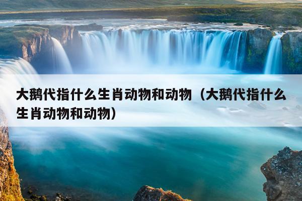 大鹅代指什么生肖动物和动物（大鹅代指什么生肖动物和动物）