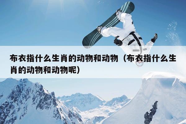 布衣指什么生肖的动物和动物（布衣指什么生肖的动物和动物呢）