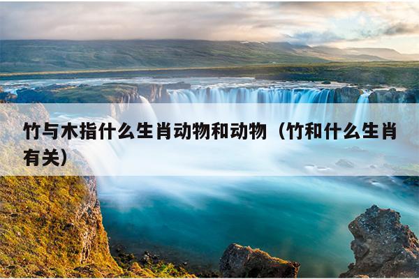 竹与木指什么生肖动物和动物（竹和什么生肖有关）