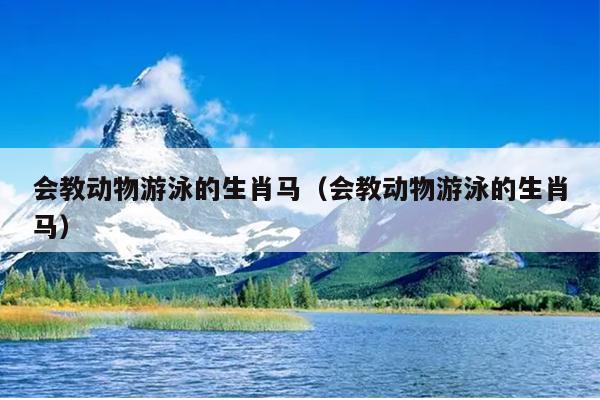 会教动物游泳的生肖马（会教动物游泳的生肖马）
