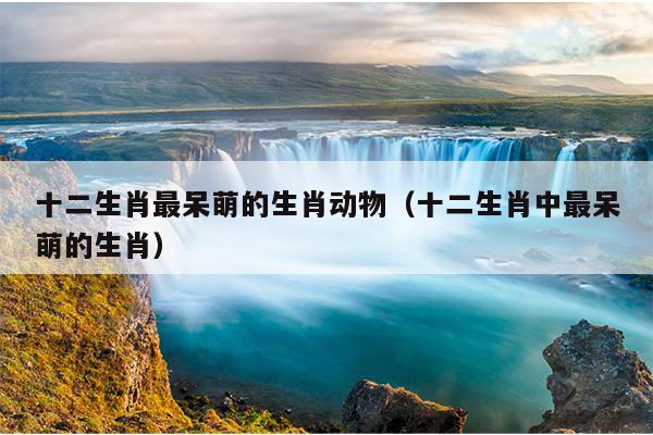 十二生肖最呆萌的生肖动物（十二生肖中最呆萌的生肖）