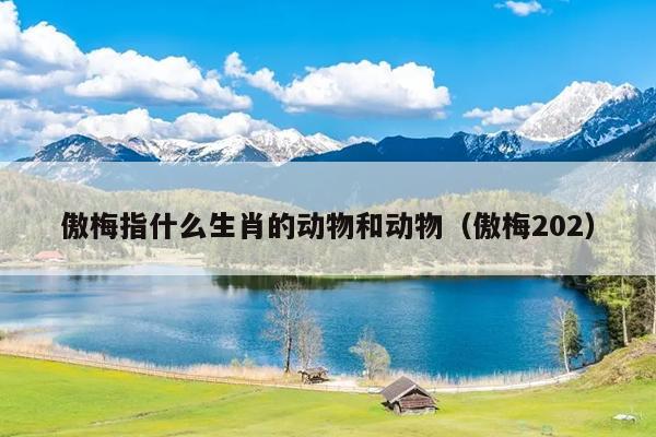 傲梅指什么生肖的动物和动物（傲梅202）