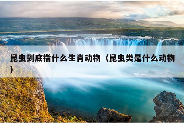 昆虫到底指什么生肖动物（昆虫类是什么动物）