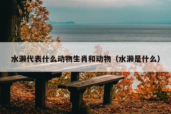 水濑代表什么动物生肖和动物（水濑是什么）