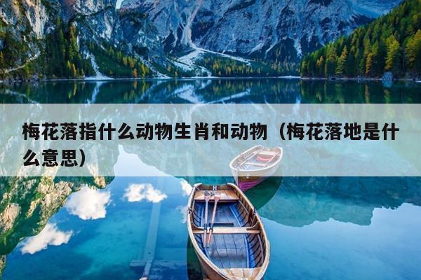 梅花落指什么动物生肖和动物（梅花落地是什么意思）