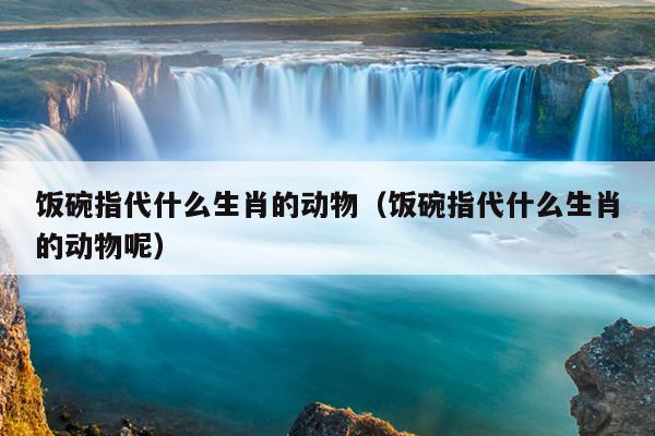 饭碗指代什么生肖的动物（饭碗指代什么生肖的动物呢）