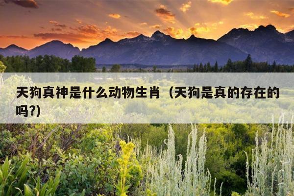 天狗真神是什么动物生肖（天狗是真的存在的吗?）