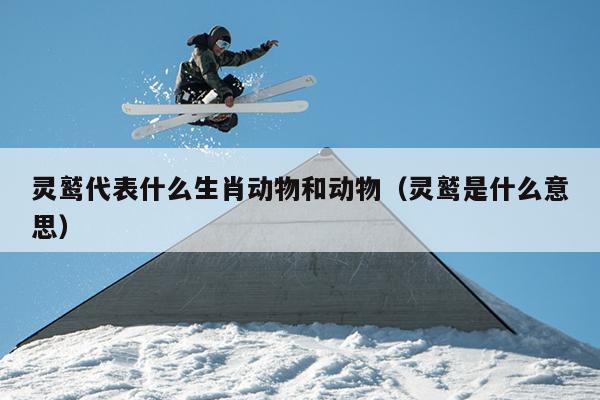 灵鹫代表什么生肖动物和动物（灵鹫是什么意思）