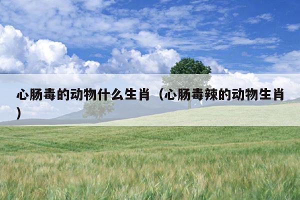 心肠毒的动物什么生肖（心肠毒辣的动物生肖）