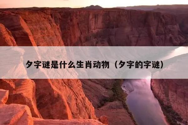 夕字谜是什么生肖动物（夕字的字谜）