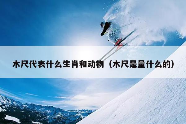木尺代表什么生肖和动物（木尺是量什么的）